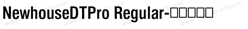 NewhouseDTPro Regular字体转换